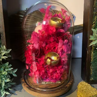 Rouge et fuschia ètèrnèlles