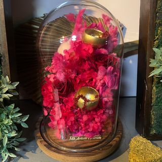 Rouge et fuschia ètèrnèlles