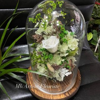 Puretè de la nature