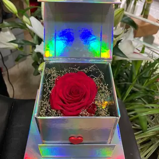Amour ètèrnel