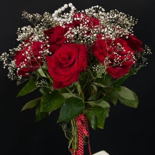 12 roses rouge  et gipsophyle