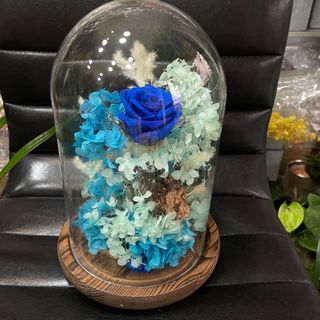 Bleu et turquoise ètèrnèl