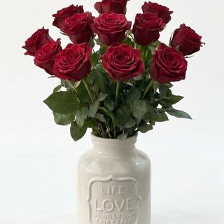 Life is love