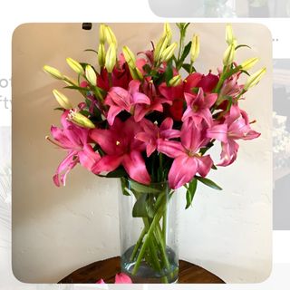 7 tiges de lys rose sans vase