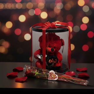 Peluche & rose rouge