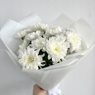 Chrysanthème blanc