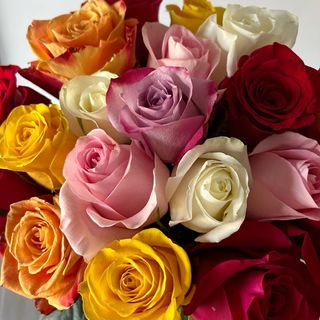 Mix of premium Roses