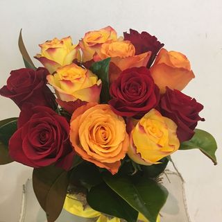 Orange And red Premium Roses -10