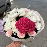 Rêve de Printemps