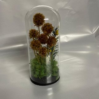 fleur séché en cloche (B)