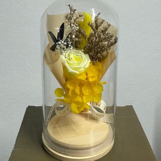 cloche (fleur éternelle jaune)15cm