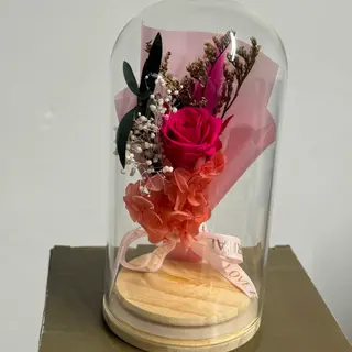 cloche( fleur éternelle Fuchsia )15cm