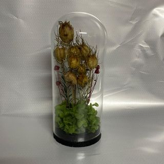 cloche décorative florale en verre (A)