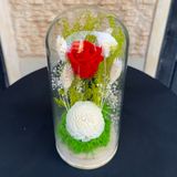 cloche avec fleur éternelle rouge