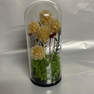 cloche fleurs séché bige (C)