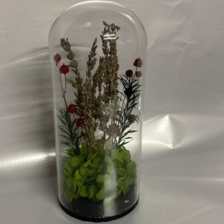 composition des fleures en cloche (D)