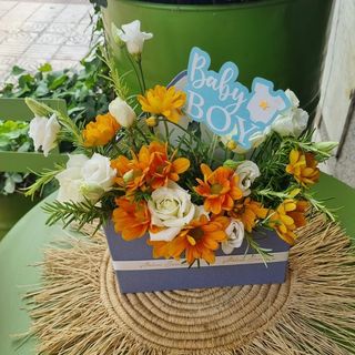 Composition BabyBoy S