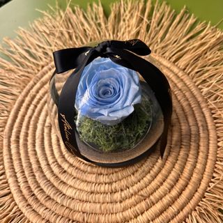 Cloche Rose Eternelle Bleu 