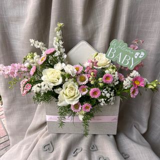 Composition BabyGirl M