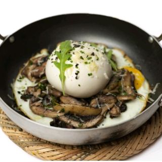 Mquila burrata champinions