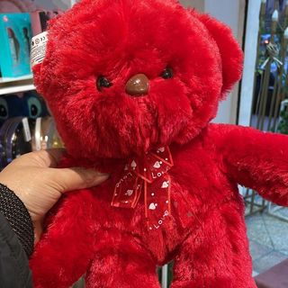 دبدوب احمر مضئ