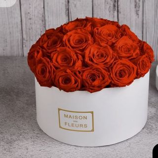 Les Roses Suffisent Quand Je Te Regarde