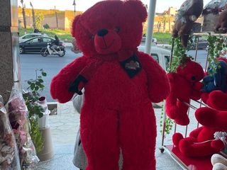 Ours Roge Grand taille. 1