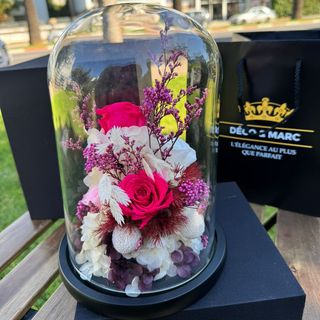 Cloche Rose Éternelle Rose Fuchsia