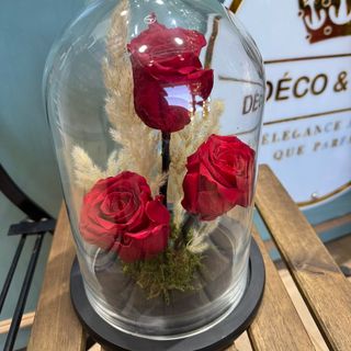 Triple Red Eternal Roses in Glass Dome