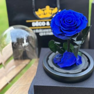 Cloche Rose Éternelle Bleu Royal