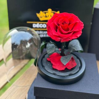 Cloche Rose Éternelle Rouge Passion