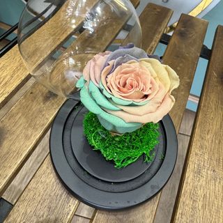 Rainbow Eternal Rose in Glass Dome