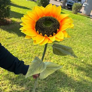 Artificial Sunflower