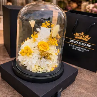 Cloche Éternelle: Preserved Yellow Flowers in Black Glass Dome