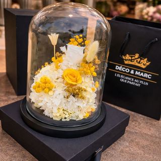 Cloche Éternelle: Preserved Yellow Flowers in Black Glass Dome