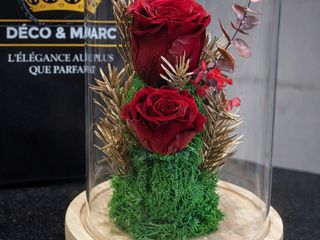 Red Eternal Roses Dome