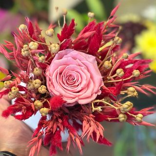 Rose éternelle Rose