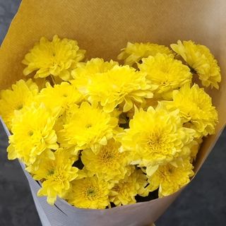 Bouquet Yellow KRYS (4)