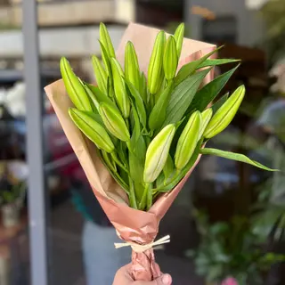 LYS ORIENTAL BLANC (5 TIGES)