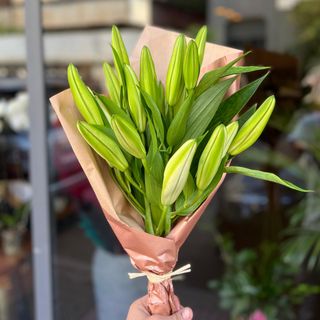 LYS ORIENTAL BLANC (5 TIGES)