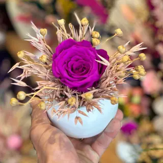 Rose éternelle mauve