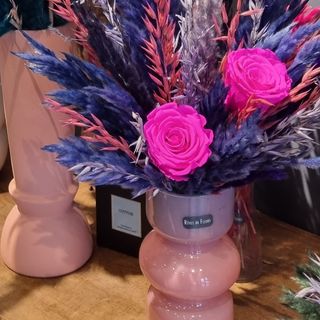 Compo Rose éternelle fushia