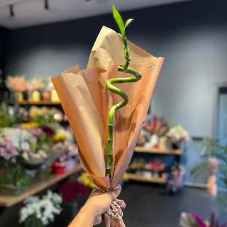 BAMBOO 90 cm
