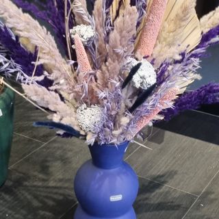 Purple and Blue big dried