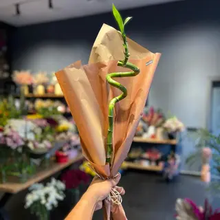 BAMBOO 90 cn
