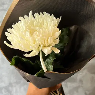 ONE BLOOM WHITE