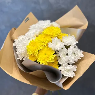 KRYS Yellow (5)