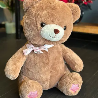 Cute Grand Ourson Marron