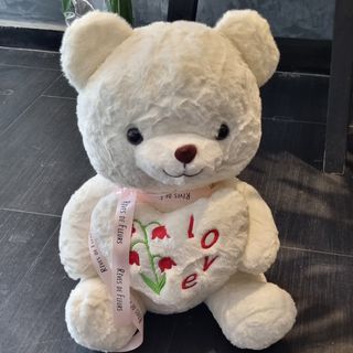 Cute Grand Ourson Blanc avec cœur