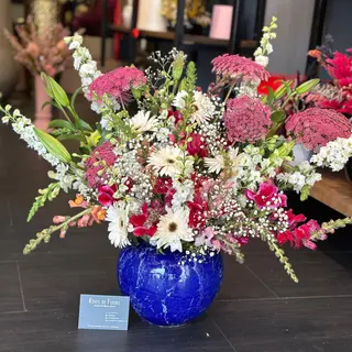 Rainbow Arrangement